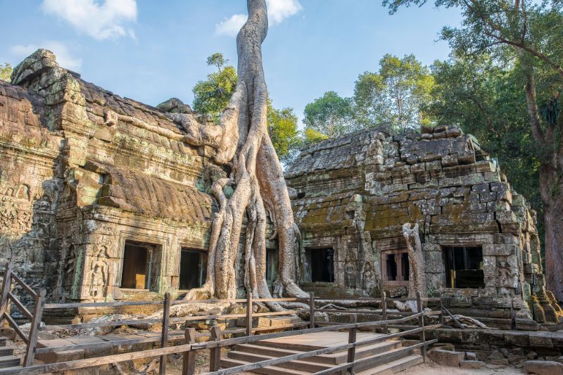 temple ta prohm au cambodge
