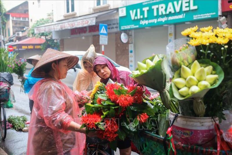 têt doan ngo, compra de flores para la salud. Fuente: baotintuc.vn