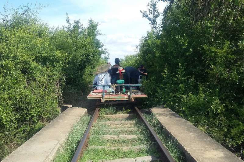 train bamboo