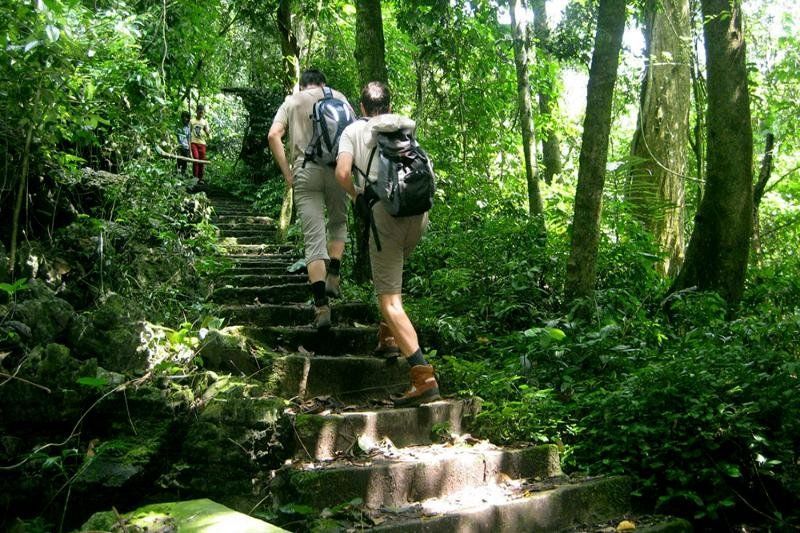 Trekking en el bosque (Fuente: Bao phu nu)