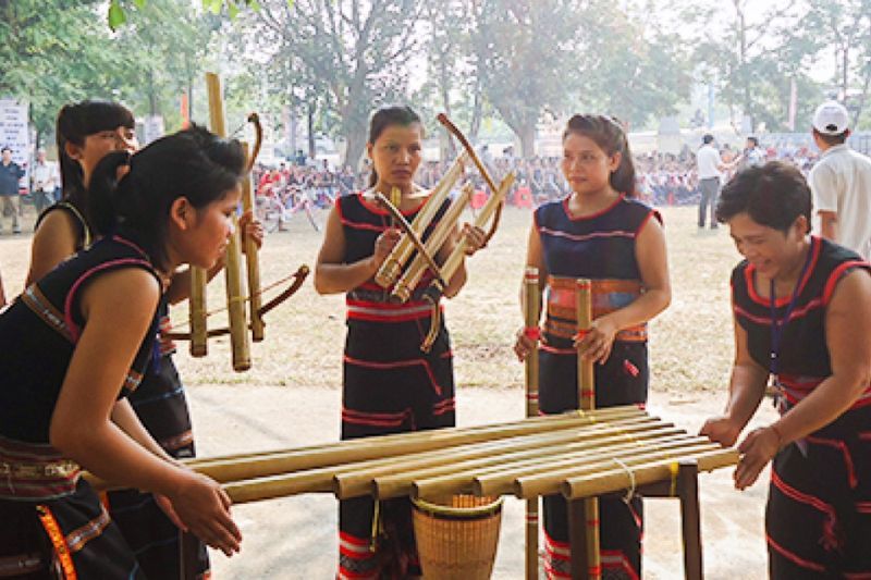 instrument de musique vietnamienne klong put