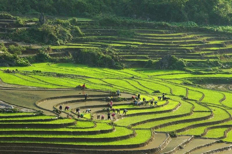 lao chai ta van à sapa