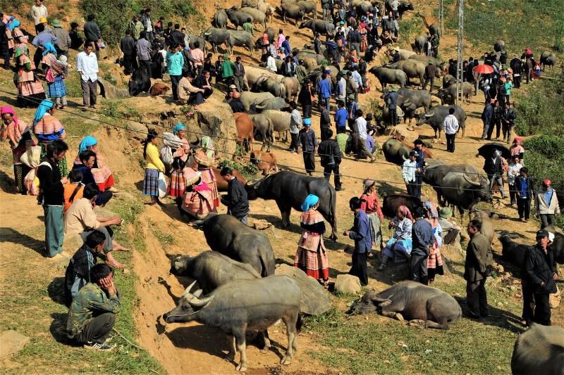 marché des buffles can cau - sapa (1)