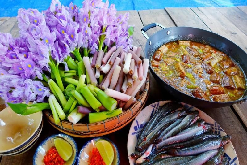 Olla caliente de pescados jacintos de agua