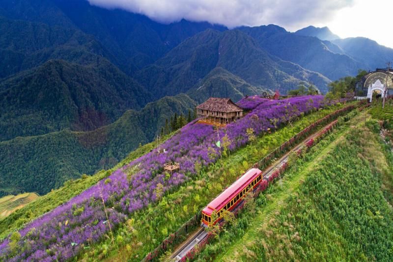 tren de montaña para ir al monte Fansipan