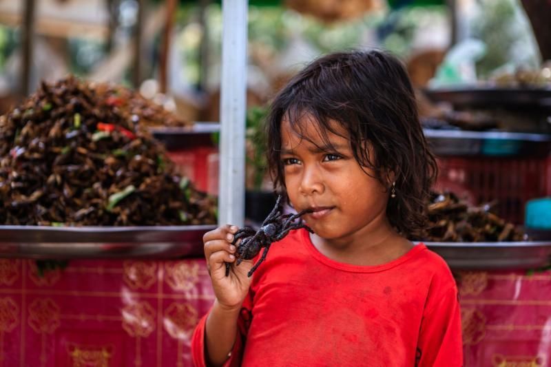 Los niños comen arañas en el mercado de Skun Camboya (Fuente: RTBF)