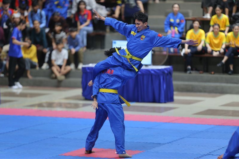 prise vovinam