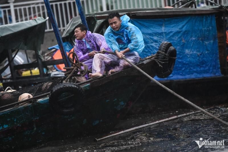 Decenas de barcos amarrados a lo largo de la costa de Ha Long fueron hundidos por las olas (Fuente: Thach Thao)