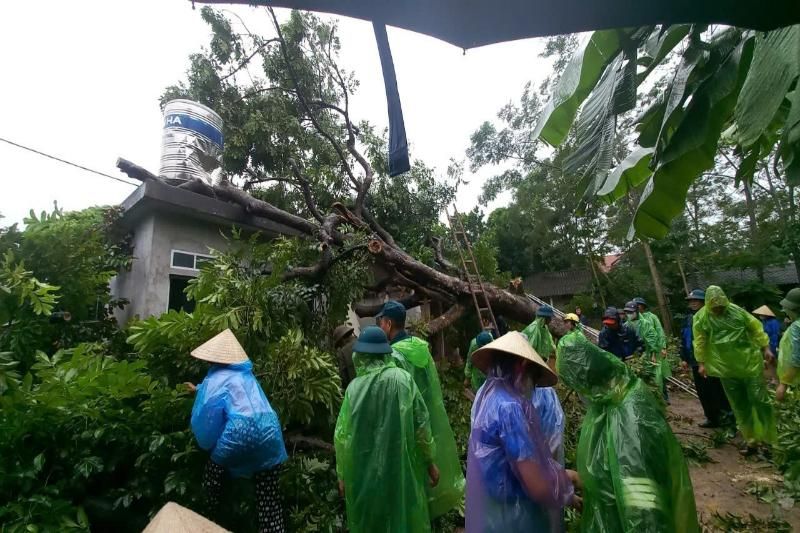 Élagage et nettoyage des arbres tombés le long des routes apres le typhon Yagi