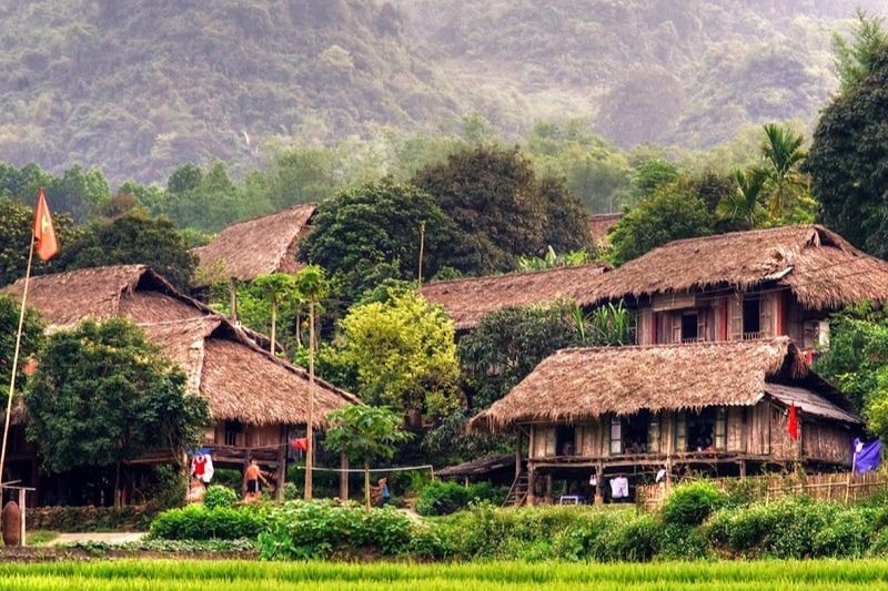 maison sur pilotis - nord vietnam