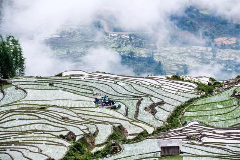 El clima de Vietnam en marzo en Sapa es demasiado hermoso