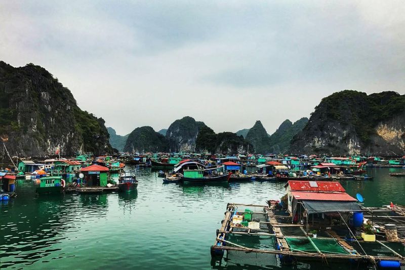 El paisaje armonioso y equilibrado del pueblo pesquero de Cua Van en la bahía de Ha Long (fuente: mia.vn)