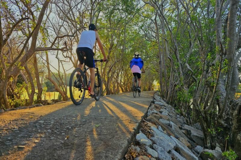 Montar en bicicleta en el bosque de Ru Cha en Hue (Fuente: El Diario Lao Dong)