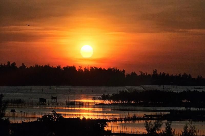 La magnífica belleza de la laguna de Tam Giang (Fuente: El Diario Lao Dong)