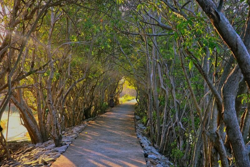 El acceso al bosque de Ru Cha (Fuente: El Diario Lao Dong)