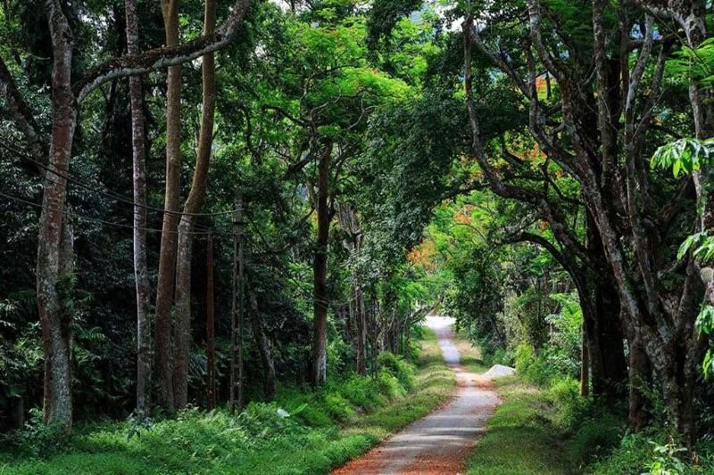 parc national de ba vì