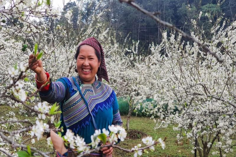 bac ha. au nord vietnam