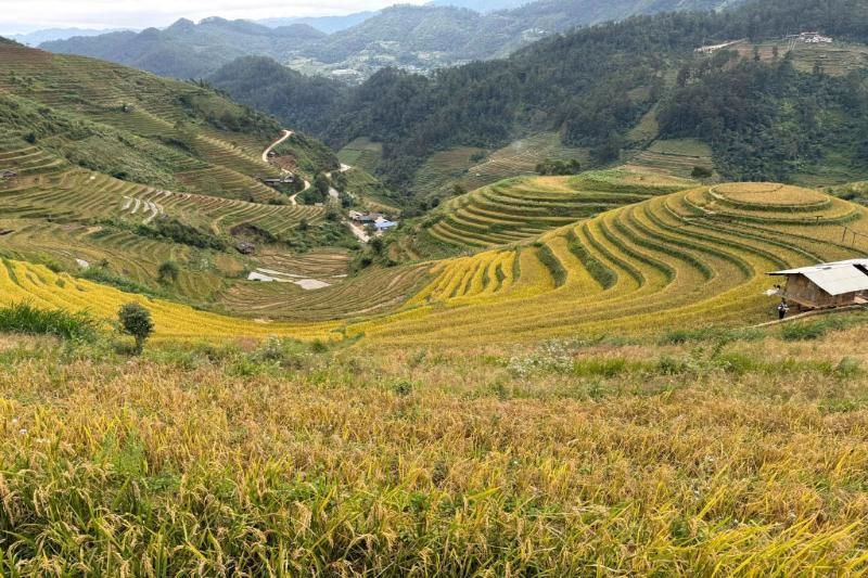 circuit du nord au vietnam avec aucoeurvietnam