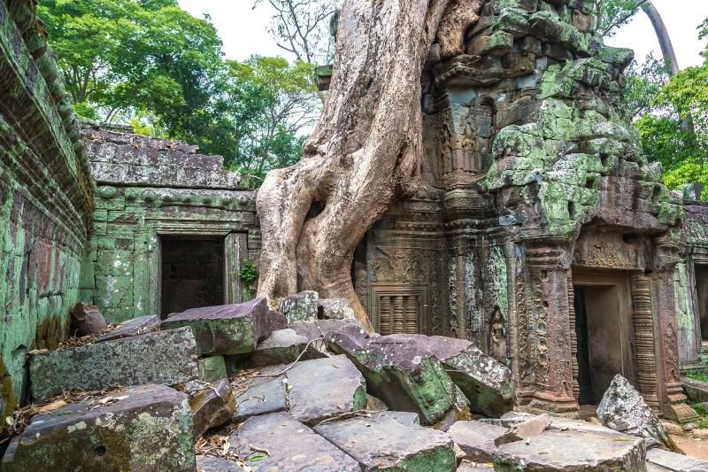 la beauté magique du temple de ta prohm