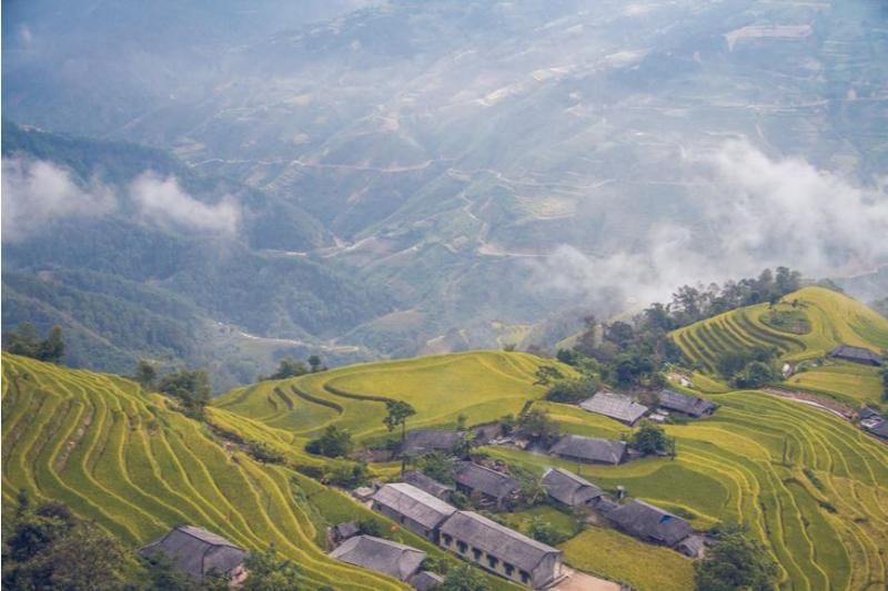 Les rizières en terrasse à Hoang Su Phi (source: hagiangtv.vn)