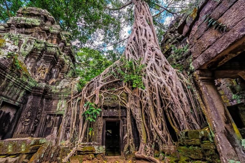 paysage de la zone tomb raider au cambodge ta prohm