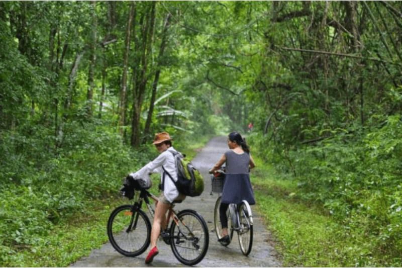 Vélo à travers la forêt 