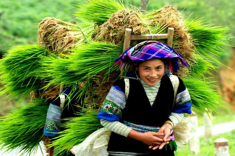sa pa - minority ethnic