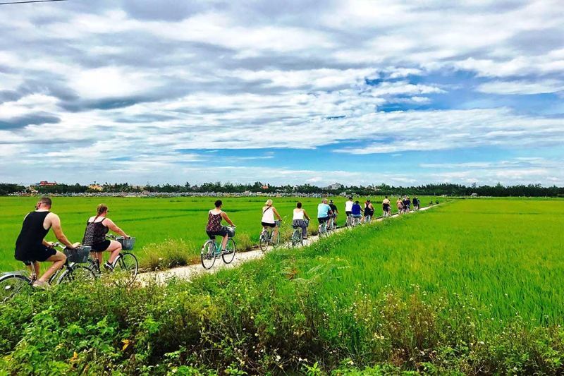 Bike tour pour visiter à Tra Que, Hoi An (Source: Đ.HUẤN - hoianheritage.net)