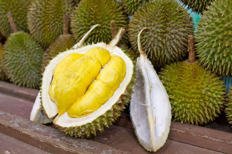 le fruit exotique au vietnam - durian