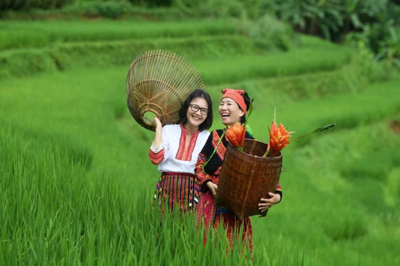 pu luong natura - se promener dans les rizières en terrasse. Source : puluongnatura.com