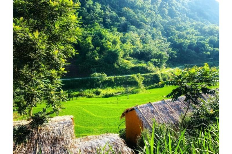Pu luong Riverside lodge - le toit en paille apporte une fraîcheur naturelle. Pu Luong ou Sapa. Source : booking.com
