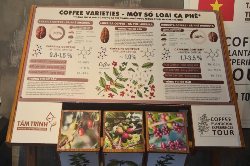 les infos pratiques sur le café vietnam pour les visiteur (1)