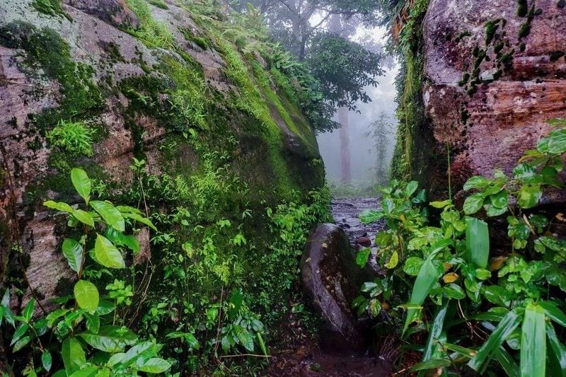 gros rocher sur le sentier naturel dans le parc national de phu hin rong kla