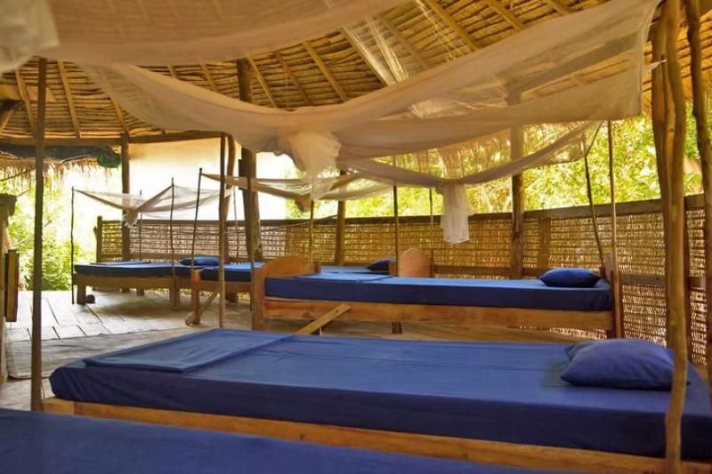 Jungle Dorms – une option abordable, parfaite pour les voyageurs en quête de convivialité et de lien social. Source : kactuscambodia.com