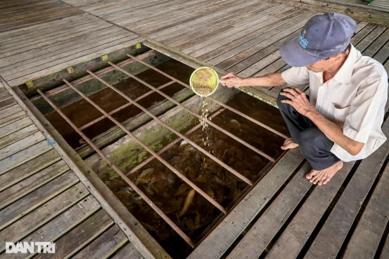 les radeaux piscicoles à Chau Doc (source : le journal de Dan Tri)