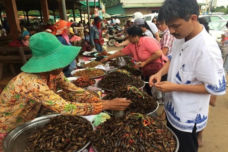 marchél de skhun à kampong cham le journal dan viet