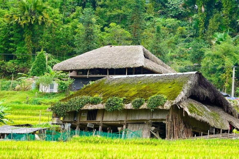 Le toit vert chez les Dao (vietnamnet)