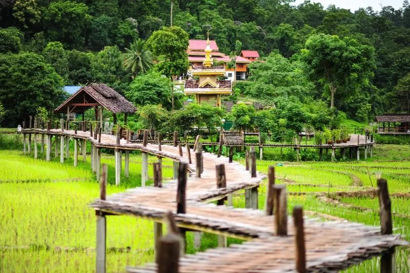 se balader dans les rizières de pai, thailande