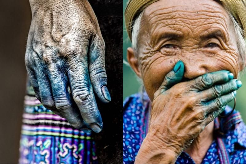 la couleur indigo sur les mains des femmes h'mong (source : Muong Thanh hospitality)