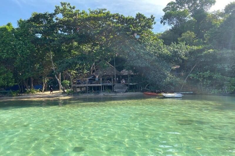 les magnifiques forêts primaires. Source : mia.vn
