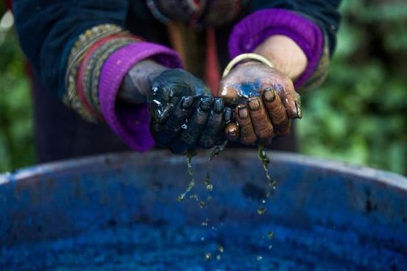 teinture à l’indigo chez les hmong