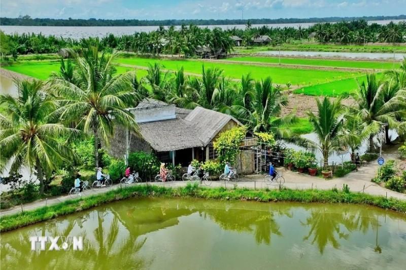 un espace naturel verdoyant au sein du site de tourisme communautaire de cồn chim