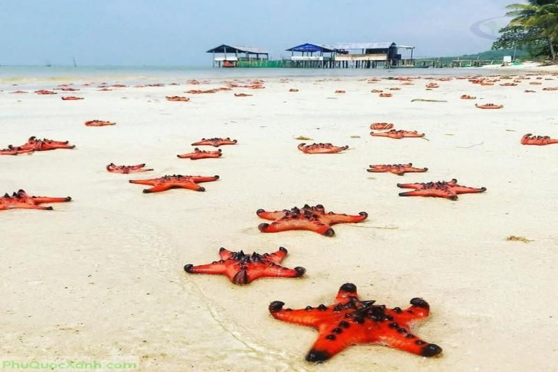 Bai Sao Phu Quoc-phuquocxanh.com