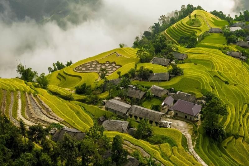 le paysage magnifique au village de Phung (phuotvivu)