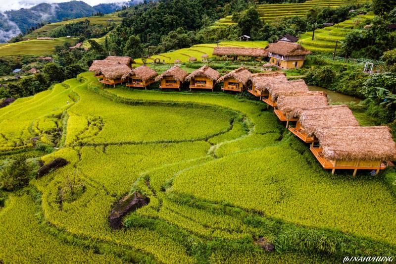 hoang su phi lodge pendant la saison du riz mur