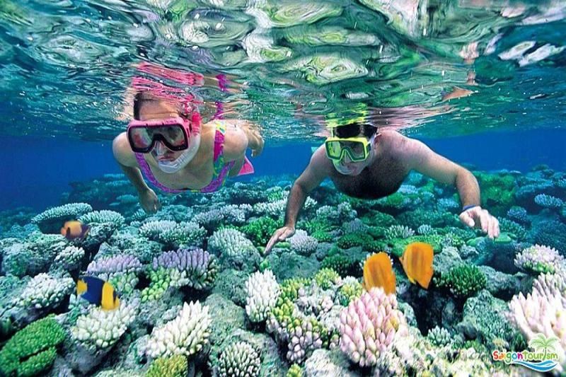 la plongée avec tuba pour admirer les coraux est une expérience incontournable en bord de mer. Source : vinpearl.com