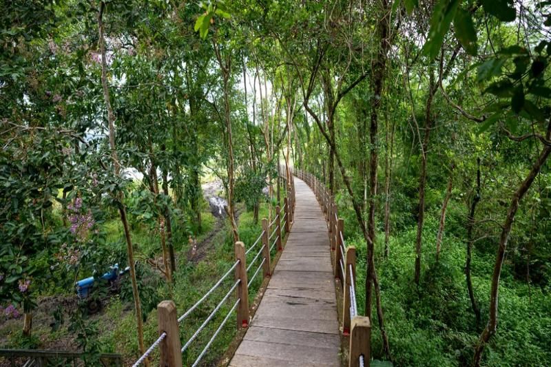 le parc national de Nam Cat Tien. Source : klook.com