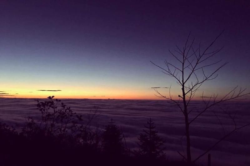 les paysages poétiques au sommet de Chieu Lau Thu (source : Quang Quick)