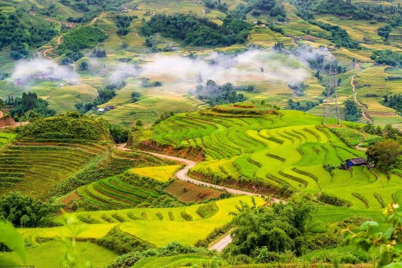 ruộng bậc thang tháng 10-toigingiuvedep