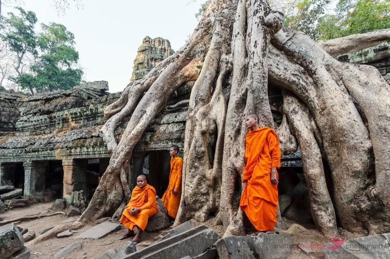 Ta Prohm (source : Triphunter)